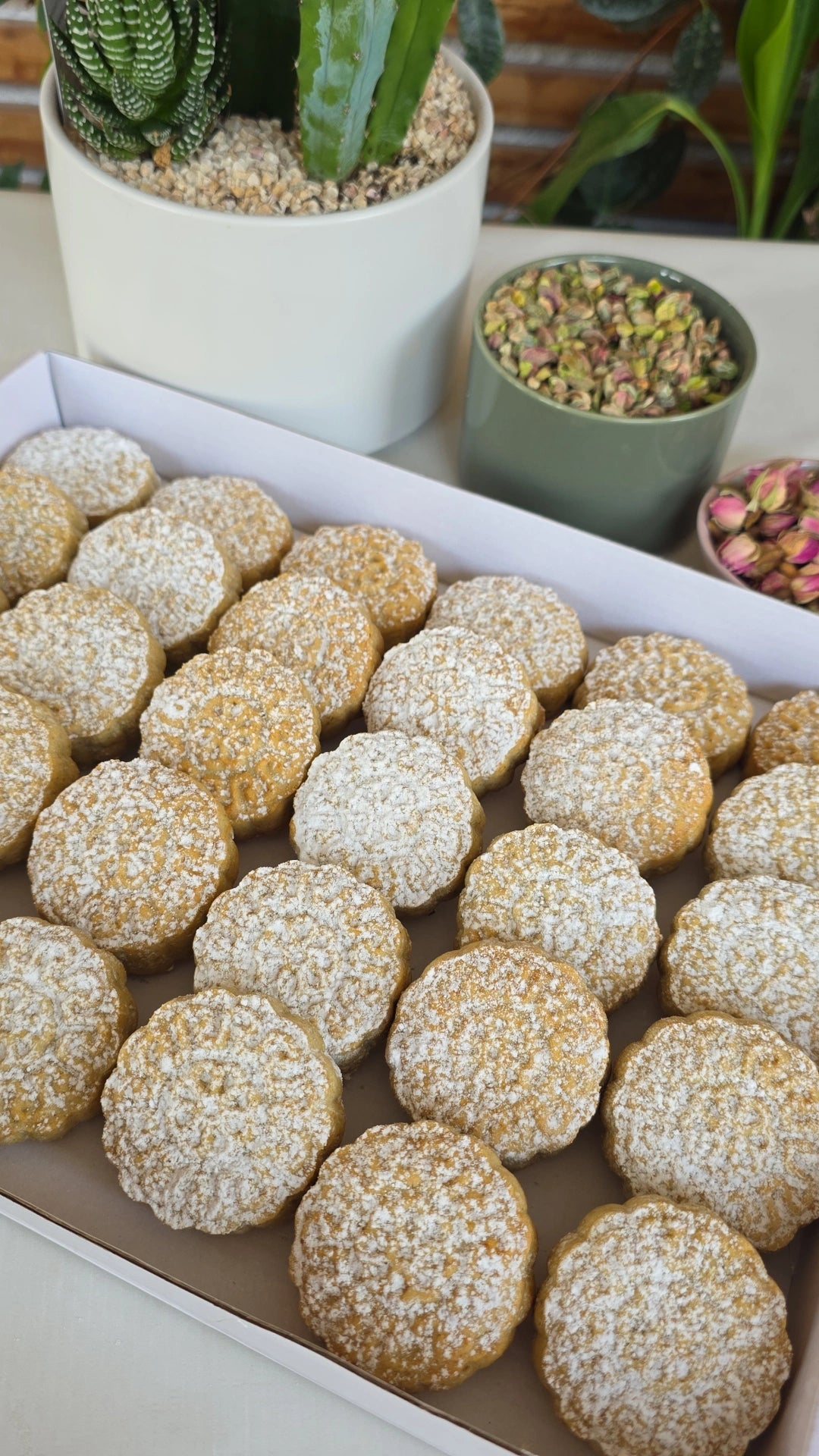 معمول سميد