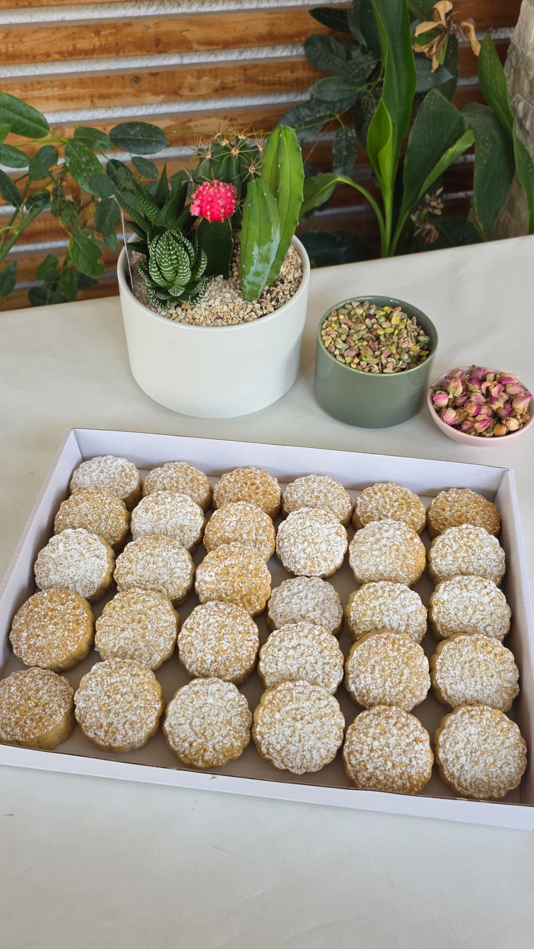 معمول سميد