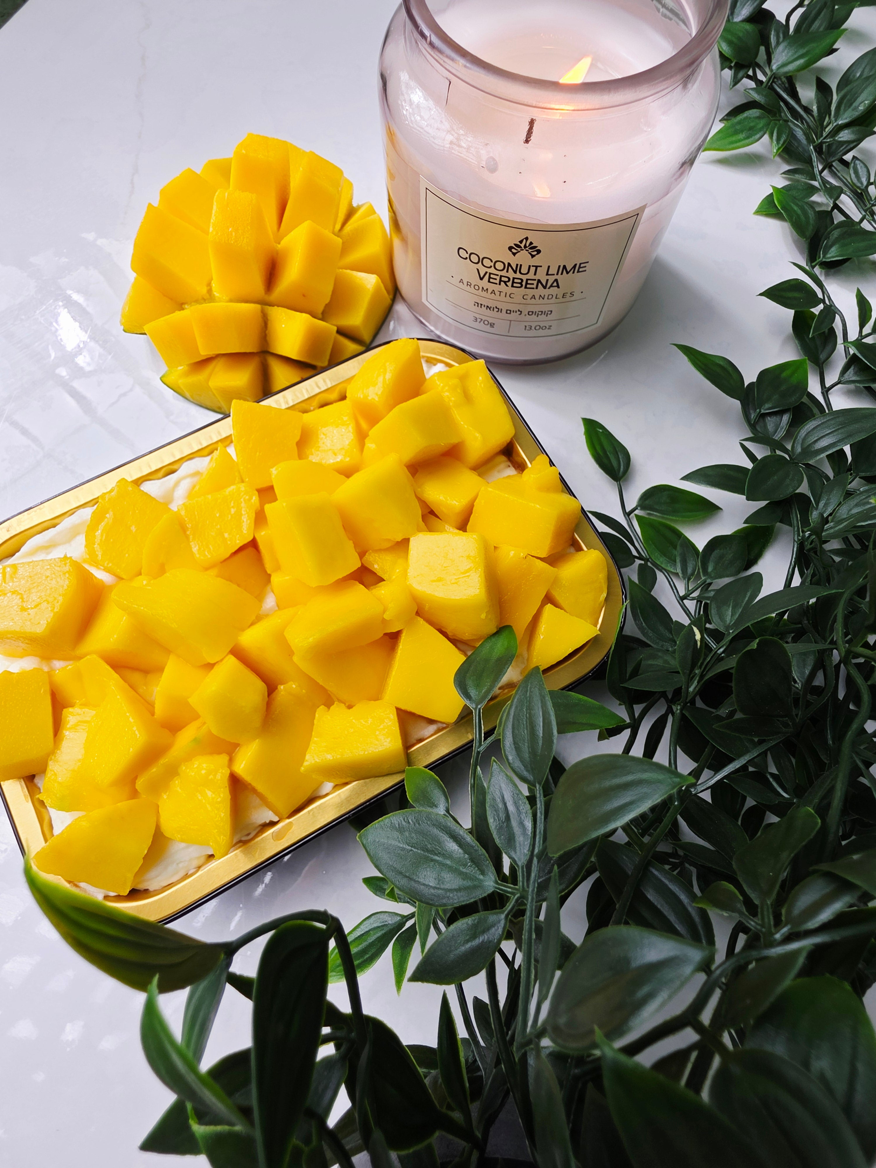 كورس القشطوطة