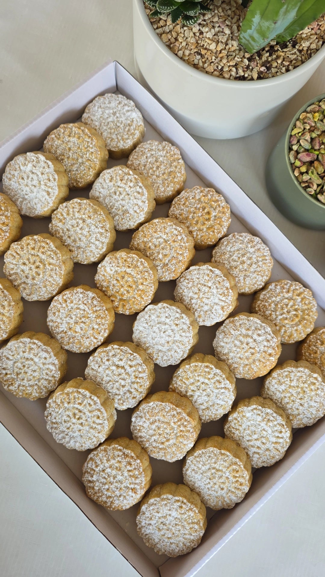 معمول سميد